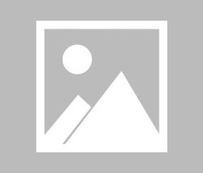 开云网页版-C罗跨界助攻雄鹿？体育精神激荡出的关键传球，跨越领域的助攻，当C罗传球给雄鹿